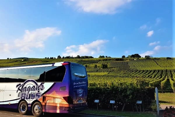 Alsace med vinprovning