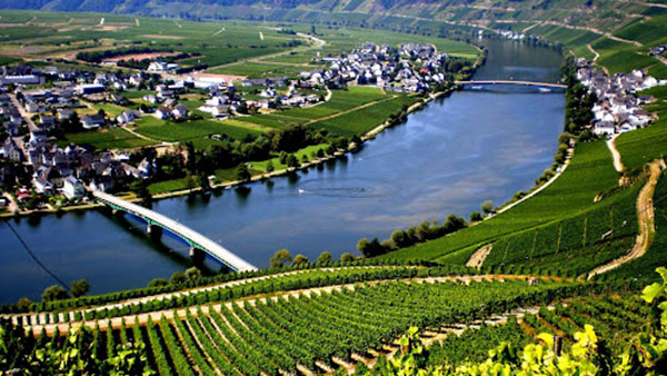 Mosel med vinprovning
